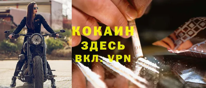 где можно купить   Елизово  блэк спрут зеркало  Cocaine 99% 